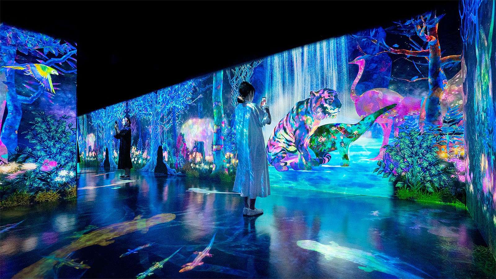 3D Hologram Wall